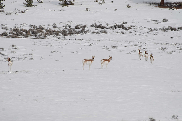 Keeping Their Distance_0081