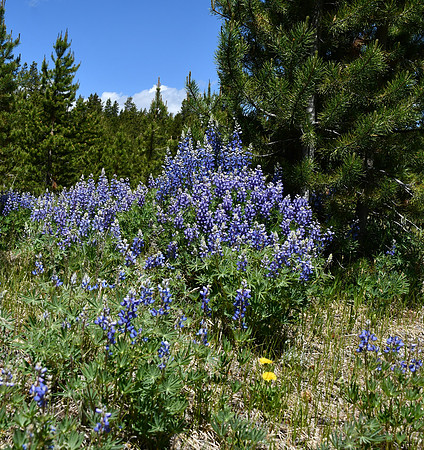 DSC_8961