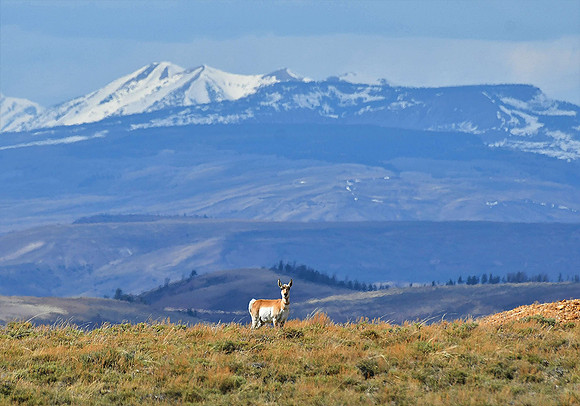 Vast Open Space_0553