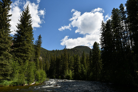 Taylor River_6511
