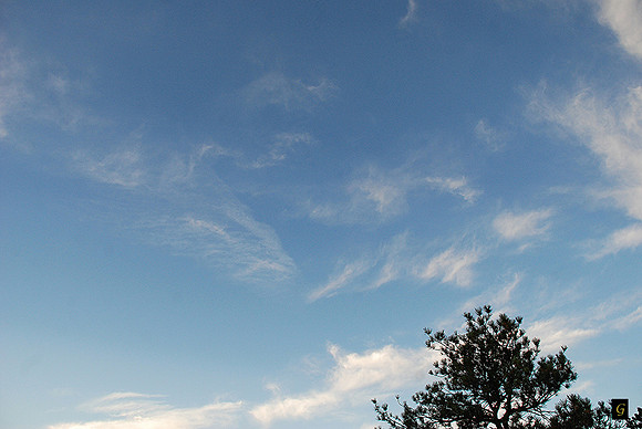 I AM_0973