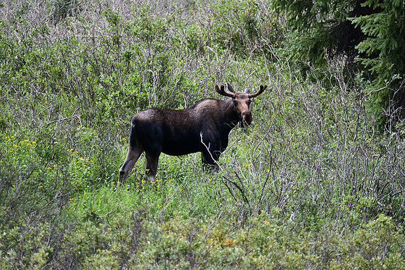 Curious about me_0827