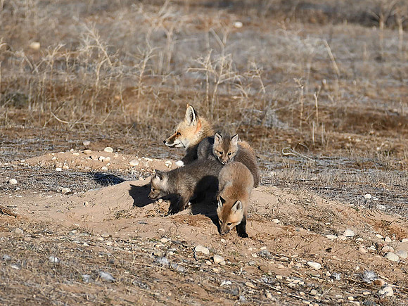 First Time Out to Explore_7309