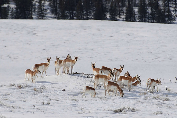 Winter group_0140