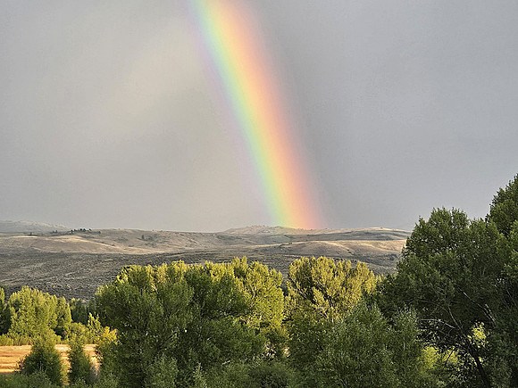 Rainbow of Gunnison Valley