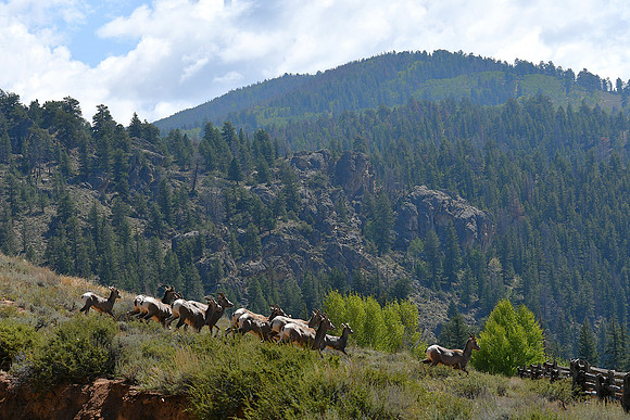 Mountain Scenes_8398
