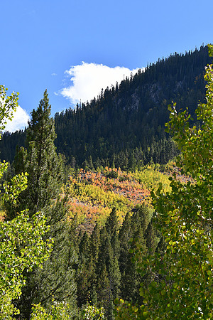 Autumn On The Way_9879