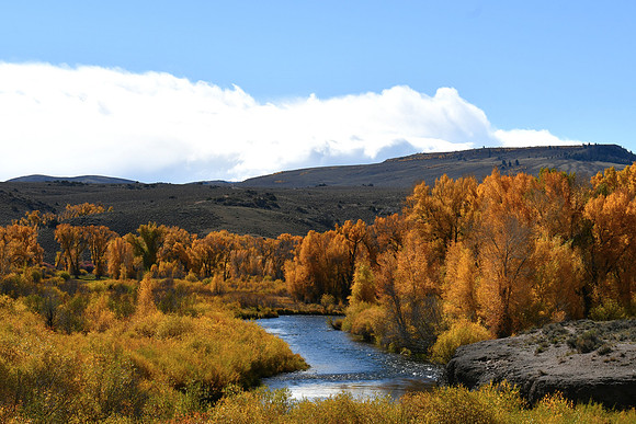 Fall_0609