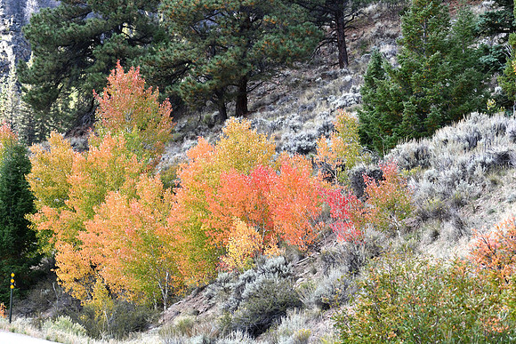 Flavors of Fall_0243