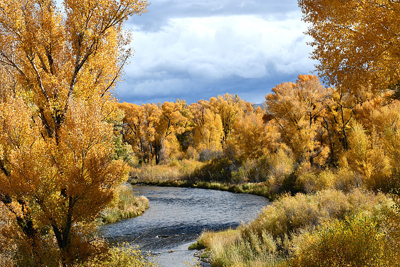 River view_0600