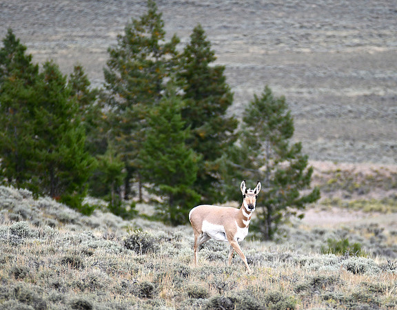 Posing For Me_0439