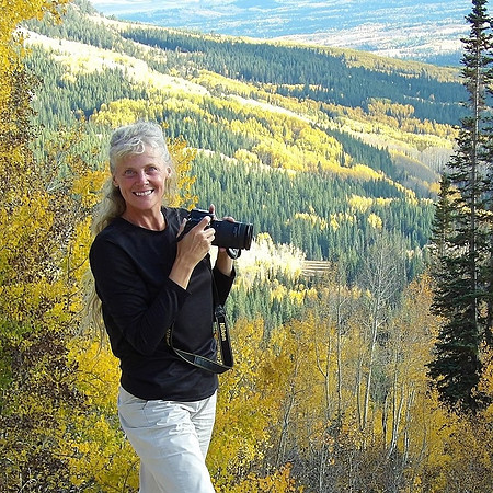 Photographing Autumn Color 2020