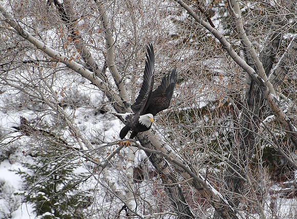 DSC_0927