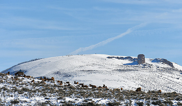 Distant Views_8943