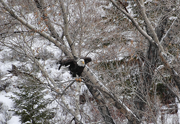 DSC_0925