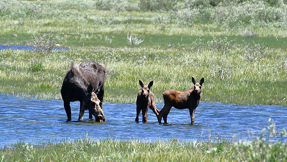 Water Fun_0607