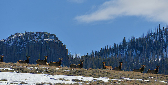 Cathedral Rock_1112