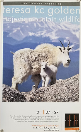 Majestic Mtn Wildlife show brochure