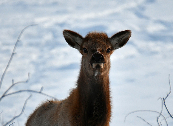 DSC_7540 000 1