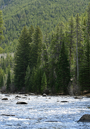 Taylor River_2395