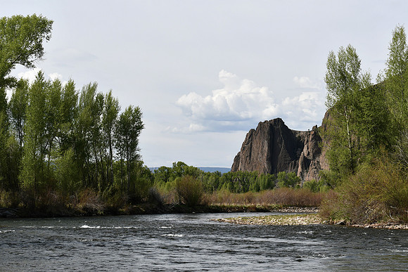 Gunnison River_2764