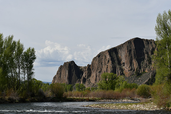 Palisades along the Gunnison River_2771