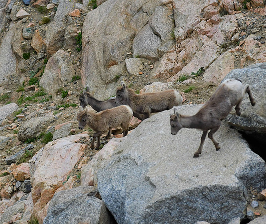 DSC_0228 (2)