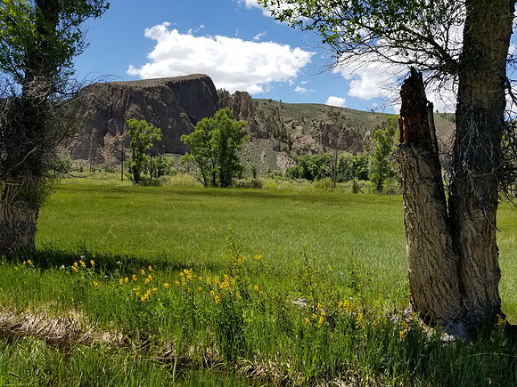 Van Tuyl Trail