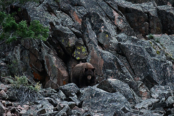 On the Cliff_7618