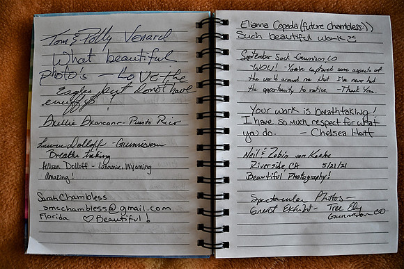 Guest Comments 2 _6867