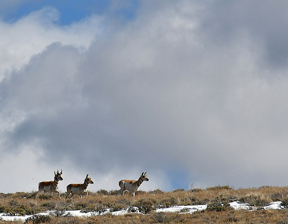 On the Move_0786