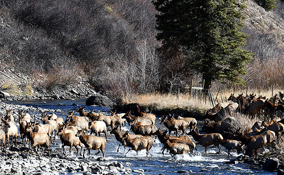 Crossing the Slate River_2082
