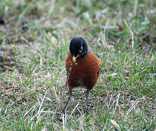 Lunch_000800