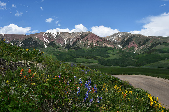 1 The Road to Gothic, Mt Crested Butte , Teresa Golden_8752