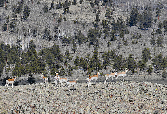 The Ridge_0589