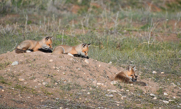 Taking a Break_0292