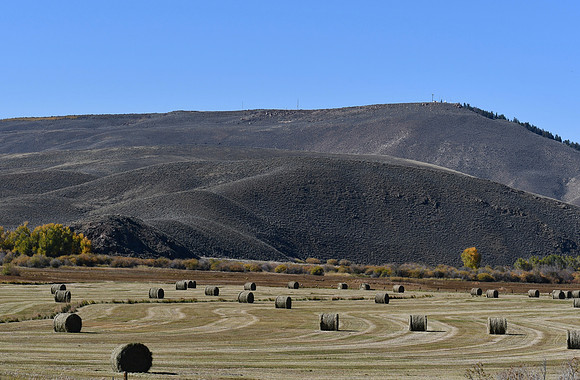 Harvest Season_6947