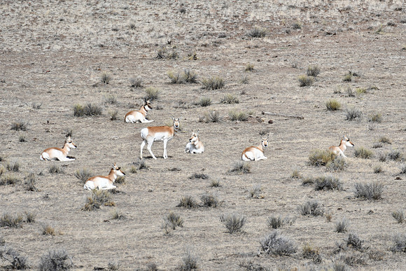A Small Group_0507
