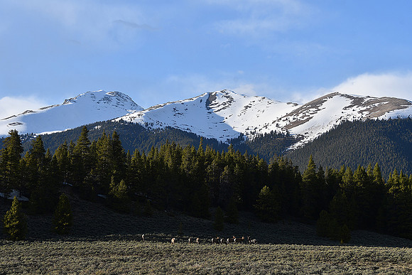 Evening in the Rockies_8459