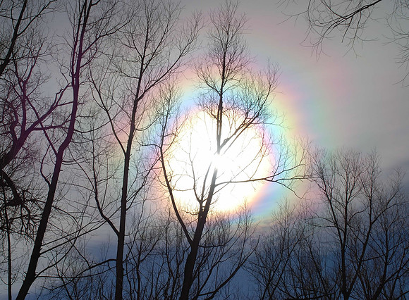 Oracle Heart 2.13.2011  224