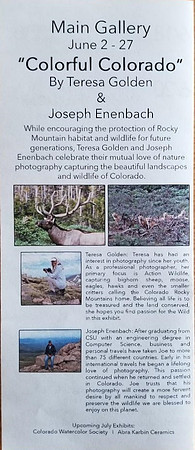 colorful colorado flyer brochure 2