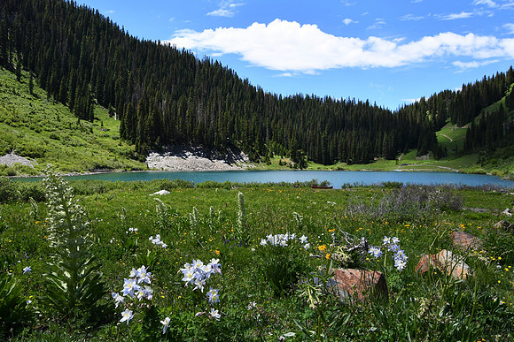 Emerald Lake_3968