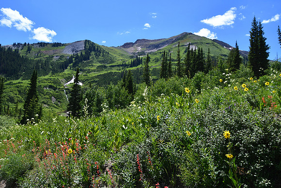 Emerald Lake area_3978