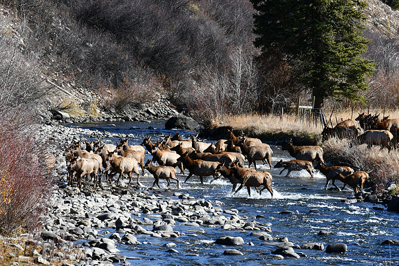 Slate river_2048