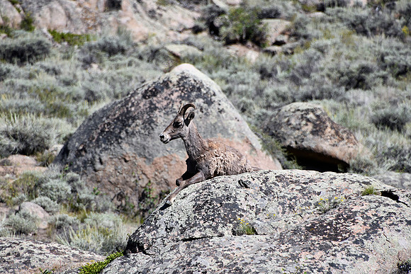 God's Camoflage_4717