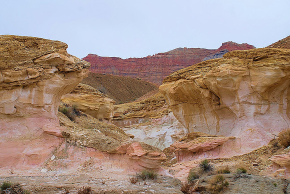 Golden Canyon, Big Water, UT_ 262