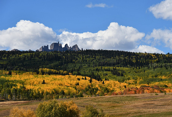 Autumn 2