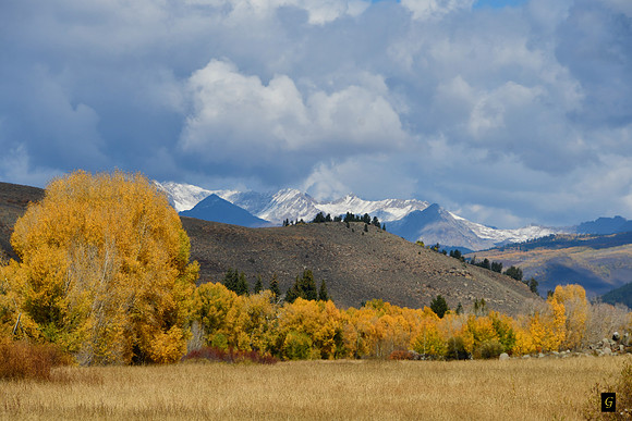Gunnison Valley_3387  G