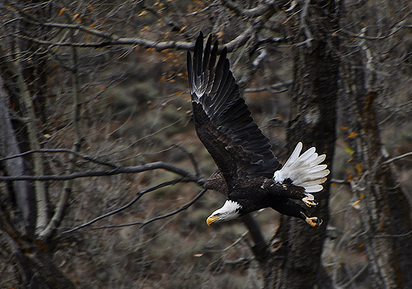 On the Move_6878