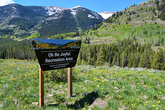 Oh Be Joyful...Yes! _7862